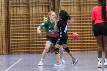 Bild 77 - wDJ HSG Kremperheide/Muensterdorf - TSV SR Schuelp : Ergebnis: 26:5